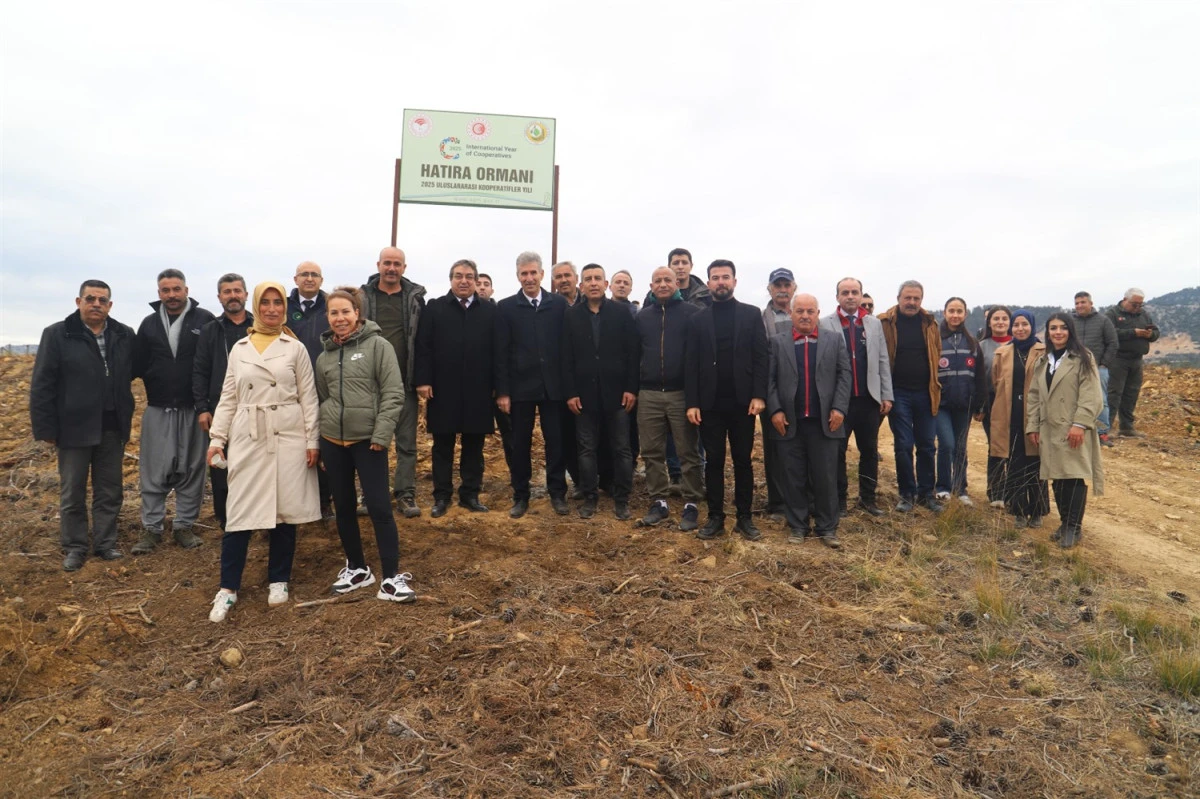 2025 ULUSLARARASI KOOPERATİFLER YILI ANISINA HATIRA ORMANI OLUŞTURULDU