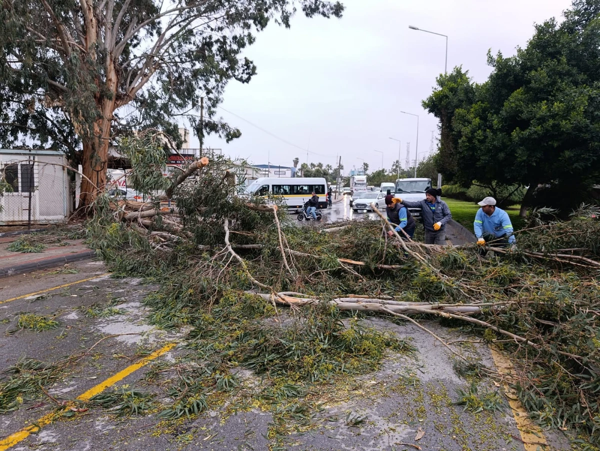 AKDENİZ BELEDİYESİ EKİPLERİ TEYAKKUZDA