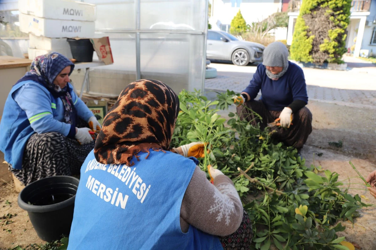 AKDENİZ BELEDİYESİ&rsquo;NDEN YEŞİL ALANLARA S&Uuml;RD&Uuml;R&Uuml;LEBİLİR KATKI