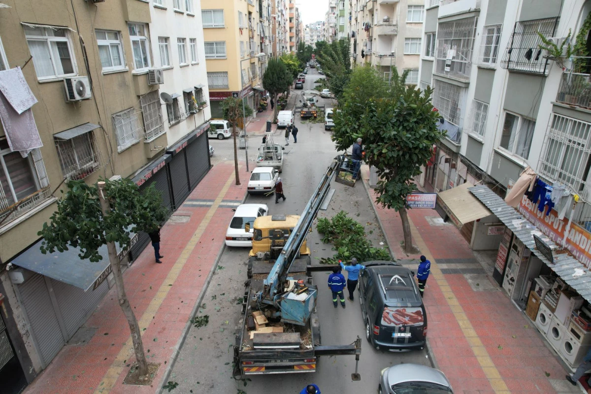 AKDENİZ&rsquo;DE AĞA&Ccedil;LARA KIŞ BAKIMI