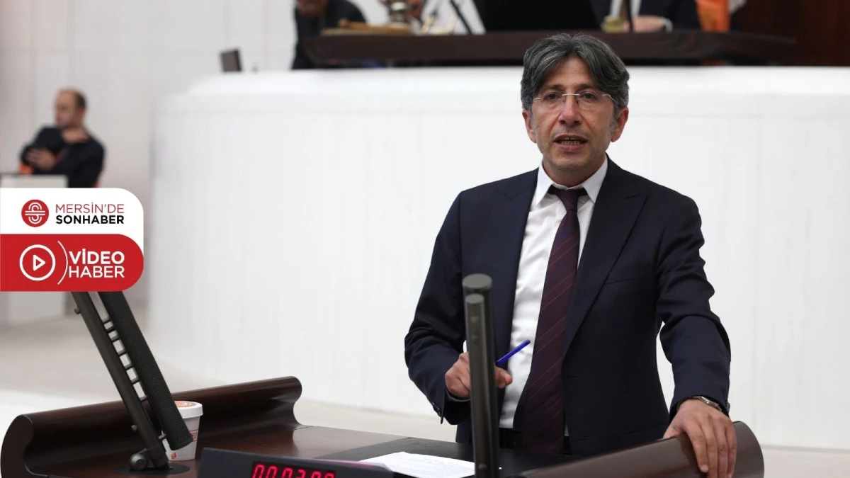 ALİ BOZAN: DEDEOĞULLARI KATLİAMININ HAFIZASINA DOZER VURUYORLAR