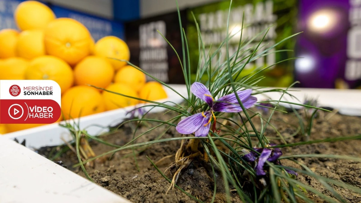 BAŞKAN ÖZYİĞİT: TARIM ARTIK GELECEK MESELESİ