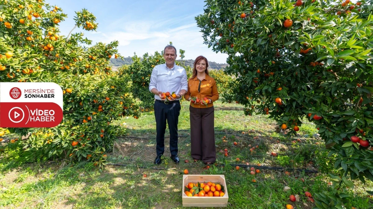 BAŞKAN SE&Ccedil;ER VE MERAL SE&Ccedil;ER &lsquo;HAMZABEYLİ K&Ouml;Y&Uuml;M&Uuml;Z AT&Ouml;LYE PROJESİ&rsquo;NİN A&Ccedil;ZILIŞINA KATILDI