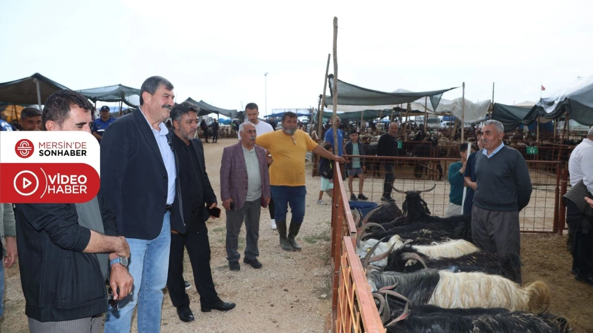 BAŞKAN YILDIZ KURBAN SATIŞ ALANINI ZİYARET ETTİ