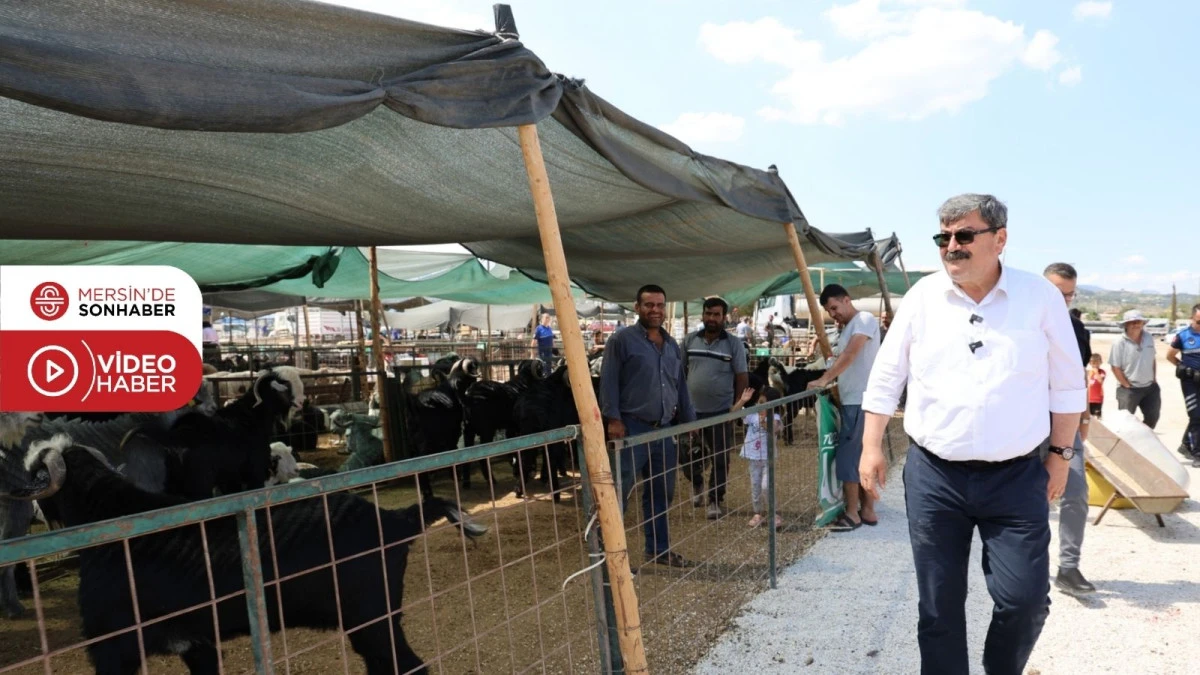 BAŞKAN YILDIZ KURBAN SATIŞ ALANINI ZİYARET ETTİ