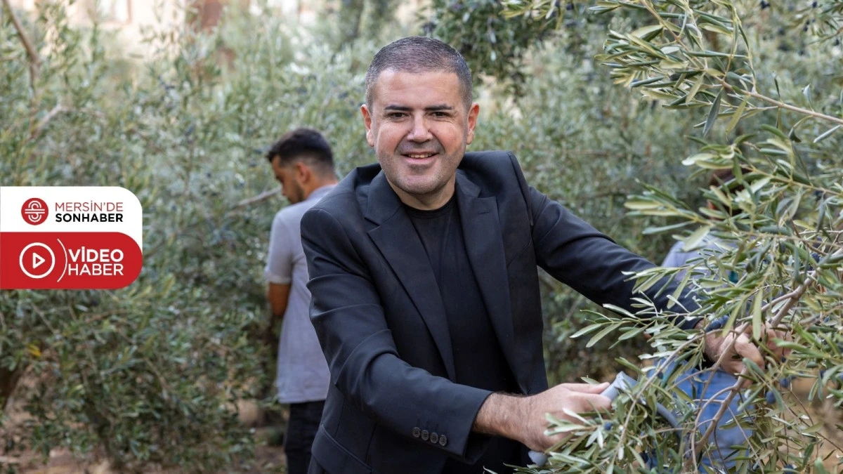 BİR DAL ZEYTİN, BİN UMUT, MEZİTLİ’DEN GELECEĞE DOKUNAN PROJE