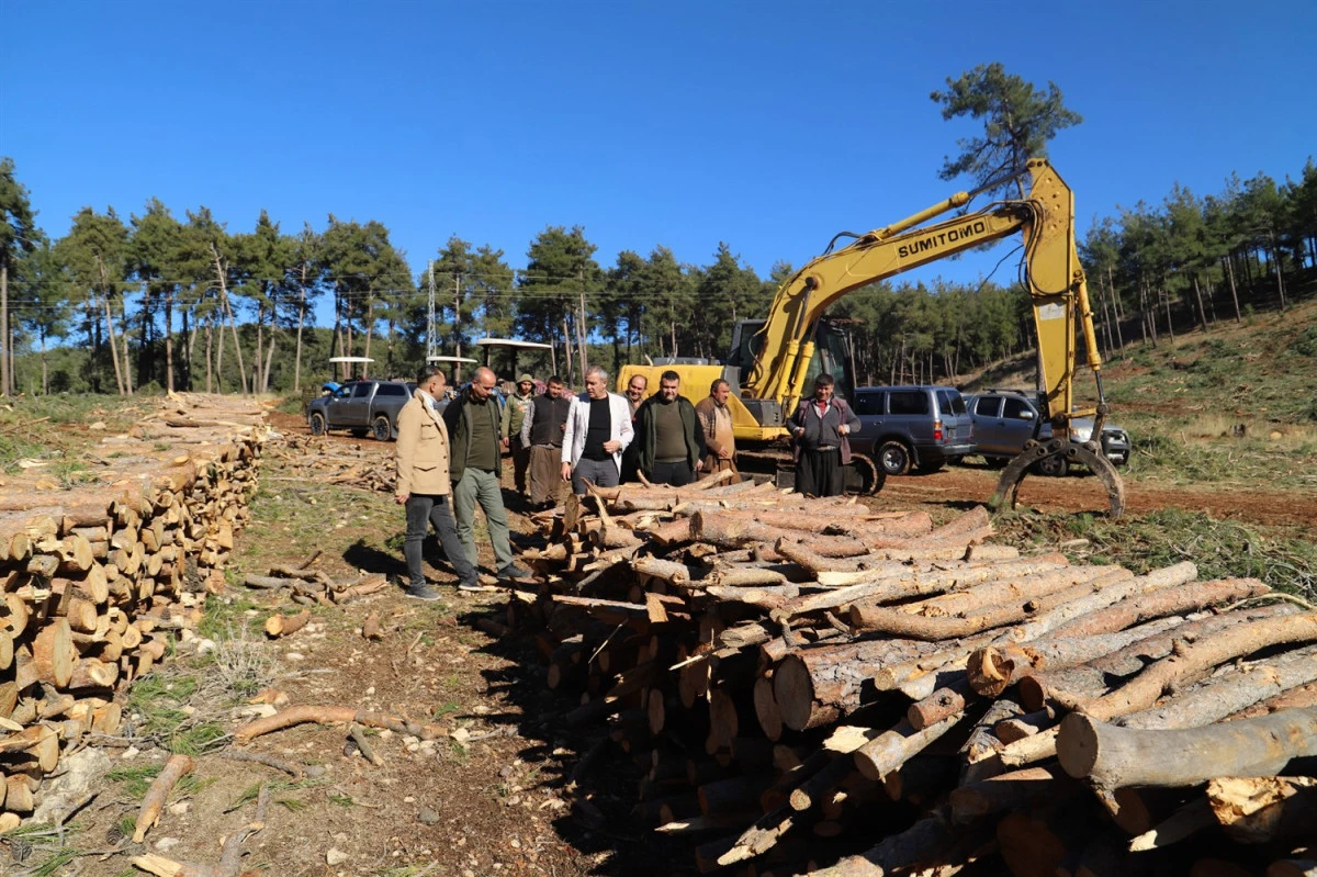 B&Ouml;LGE M&Uuml;D&Uuml;R YARDIMCISI ALİ KİŞİ TARSUS&rsquo;TAKİ ORMANCILIK &Ccedil;ALIŞMALARINI İNCELEDİ