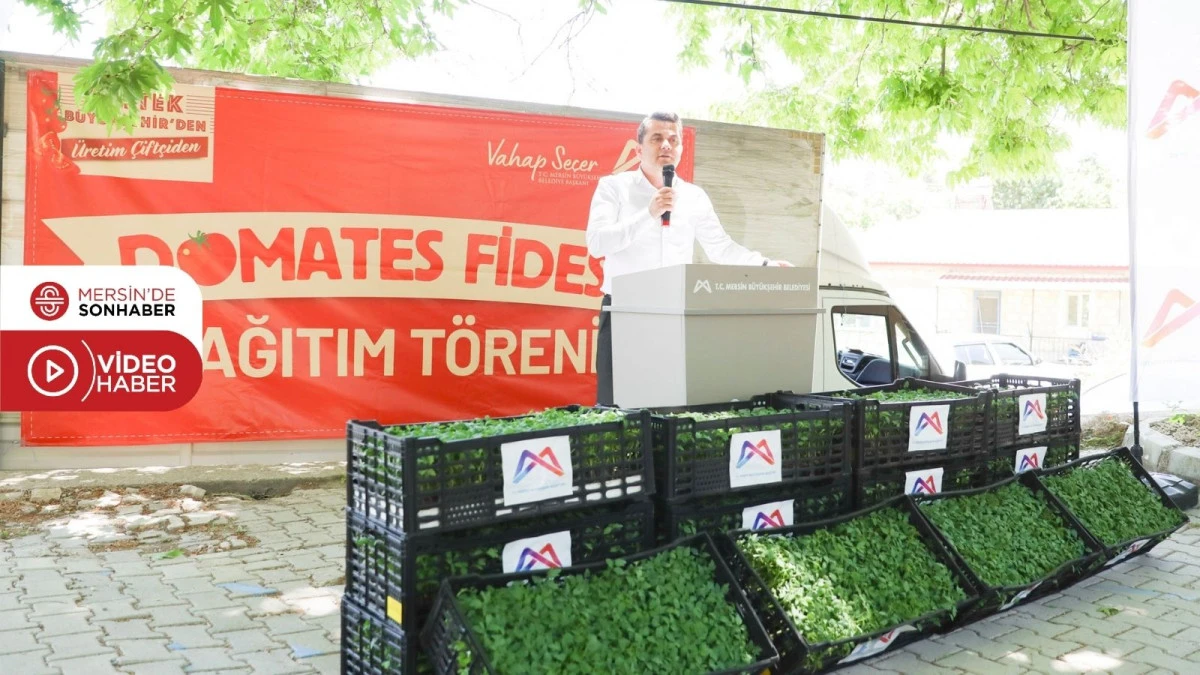 BÜYÜKŞEHİR GÜLNAR’DA 105 BİN DOMATES FİDESİ DAĞITTI