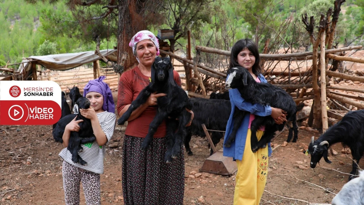BÜYÜKŞEHİR, ‘SULAMA TANKERİ’ DESTEĞİYLE YETİŞTİRİCİYE CAN SUYU OLUYOR 