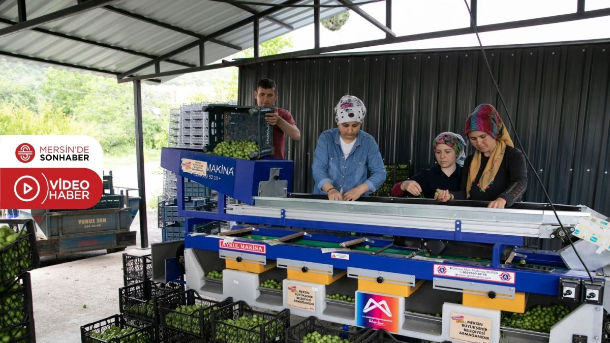 BÜYÜKŞEHİR’İN MAKİNE DESTEKLERİ İLE ÜRETİCİ KAZANIYOR, KIRSAL KALKINIYOR