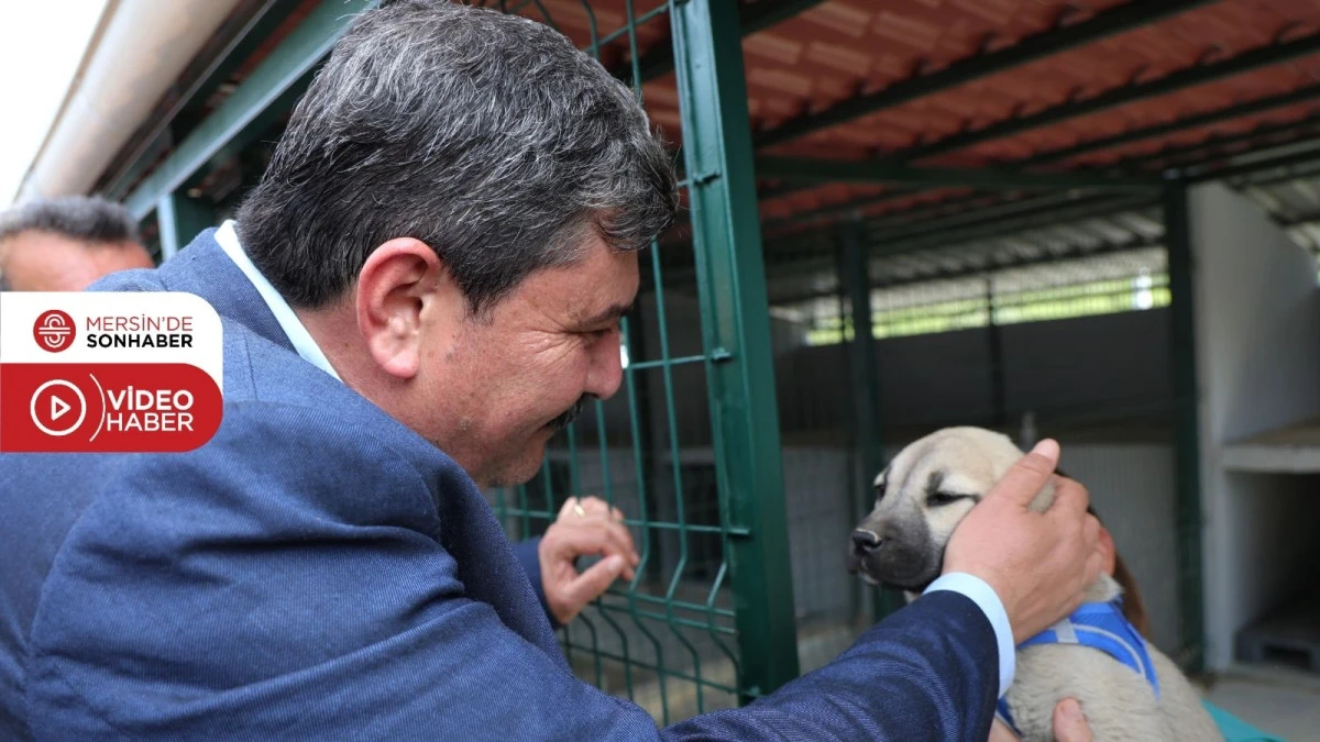 CAN DOSTLARA 30 DÖNÜMLÜK YENİ YUVA 