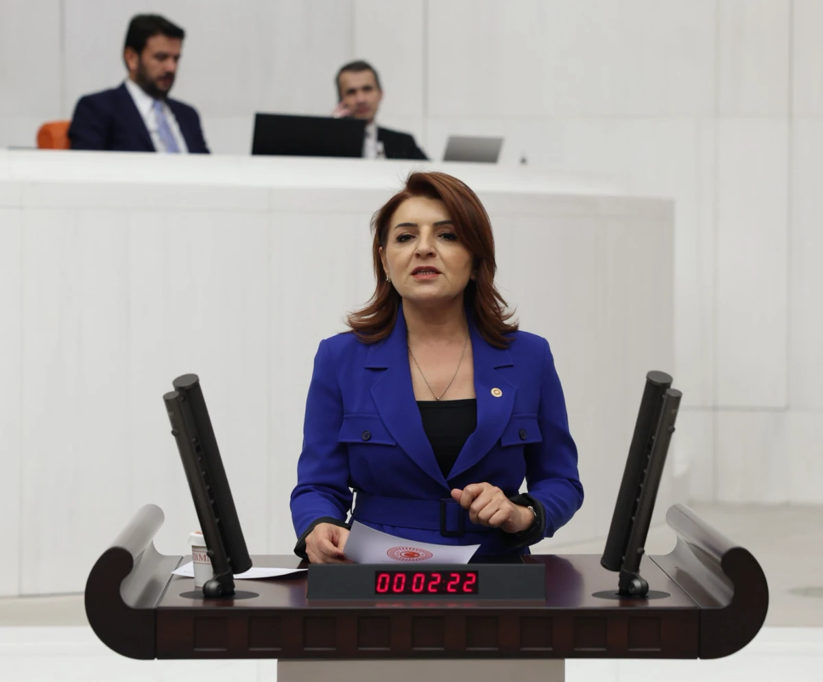 CHP MERSİN MİLLETVEKİLİ G&Uuml;LCAN KIŞ&rsquo;TAN 3 OCAK KURTULUŞ G&Uuml;N&Uuml; MESAJI