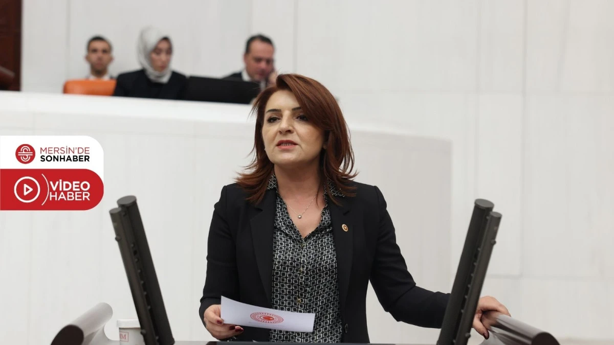 CHP MERSİN MİLLETVEKİLİ G&Uuml;LCAN KIŞ&rsquo;TAN ASGARİ &Uuml;CRET TEPKİSİ!