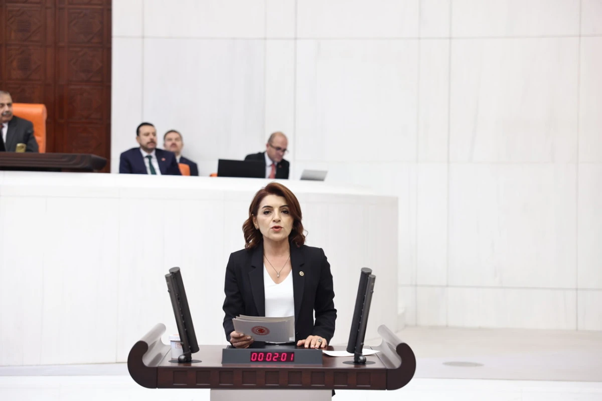 CHP&rsquo;Lİ G&Uuml;LCAN KIŞ: &lsquo;BİR GECEDE YOK OLAN EMEĞİ MECLİS G&Uuml;NDEMİNE TAŞIYORUZ&rsquo;