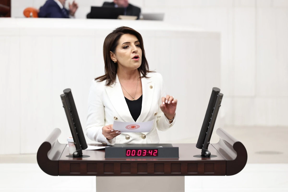 CHP'Lİ G&Uuml;LCAN KIŞ: &lsquo;D&Uuml;NYA &Uuml;LKELERİ &Uuml;RETİCİSİNİ KORUYOR, AKP ANAMURLU &Uuml;RETİCİYİ İTHALATA TESLİM EDİYOR&rsquo;