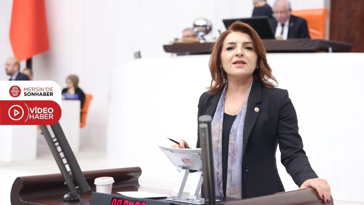 CHP&rsquo;Lİ G&Uuml;LCAN KIŞ: &lsquo;HASTALAR İLACA DEĞİL &Ccedil;ARESİZLİĞE ERİŞİYOR&rsquo;