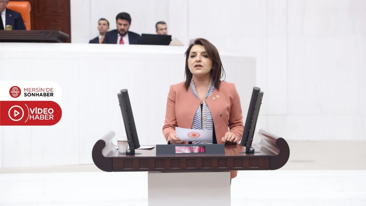 CHP&rsquo;Lİ G&Uuml;LCAN KIŞ: &lsquo;MİLLİ PARKLAR KANUNU, AKP&rsquo;NİN 24 YILLIK SON SATIŞ KATALOĞUDUR&rsquo;