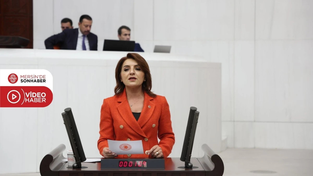 CHP'Lİ G&Uuml;LCAN KIŞ: &lsquo;&Ouml;ĞRETMENLER A&Ccedil;LIK GREVİNDE, BAKANLIK H&Acirc;L&Acirc; SESSİZ&rsquo;