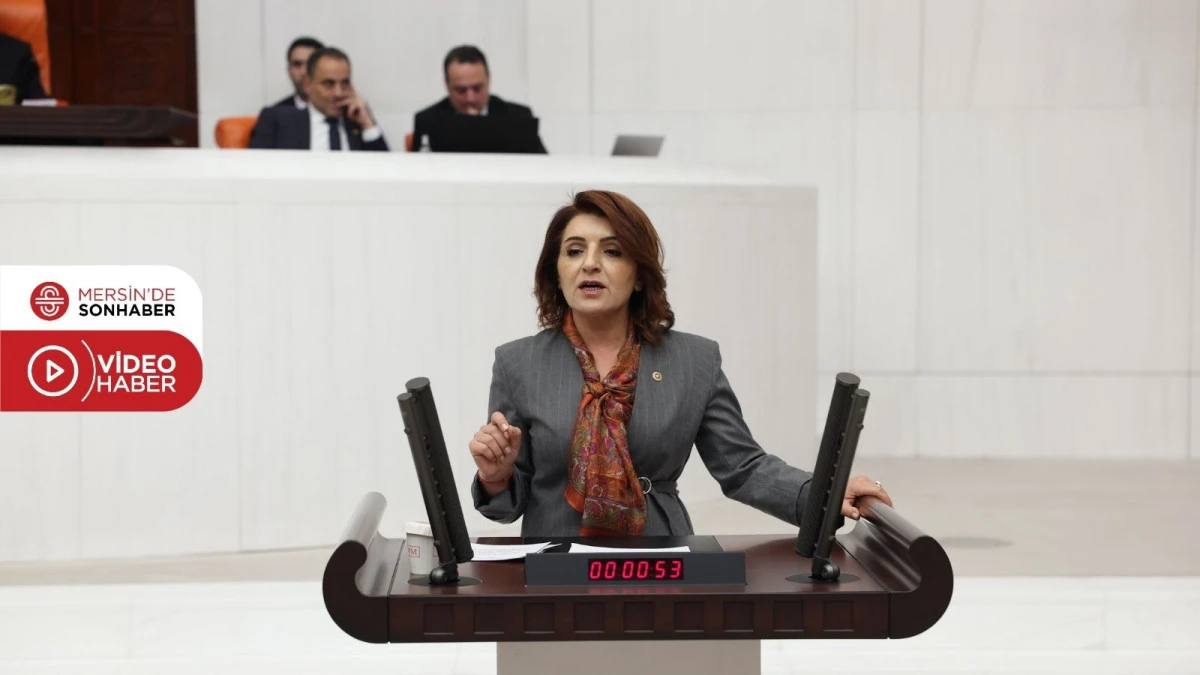 CHP&rsquo;Lİ G&Uuml;LCAN KIŞ: &lsquo;TİSAN&rsquo;IN KADERİ DEĞİL, MERSİN&rsquo;İN GELECEĞİ YARGILANIYOR&rsquo;
