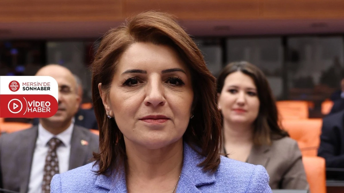 CHP&rsquo;Lİ G&Uuml;LCAN KIŞ&rsquo;TAN MİLYONLARI İLGİLENDİREN BOR&Ccedil; KRİZİNE İLİŞKİN KANUN TEKLİFİ!