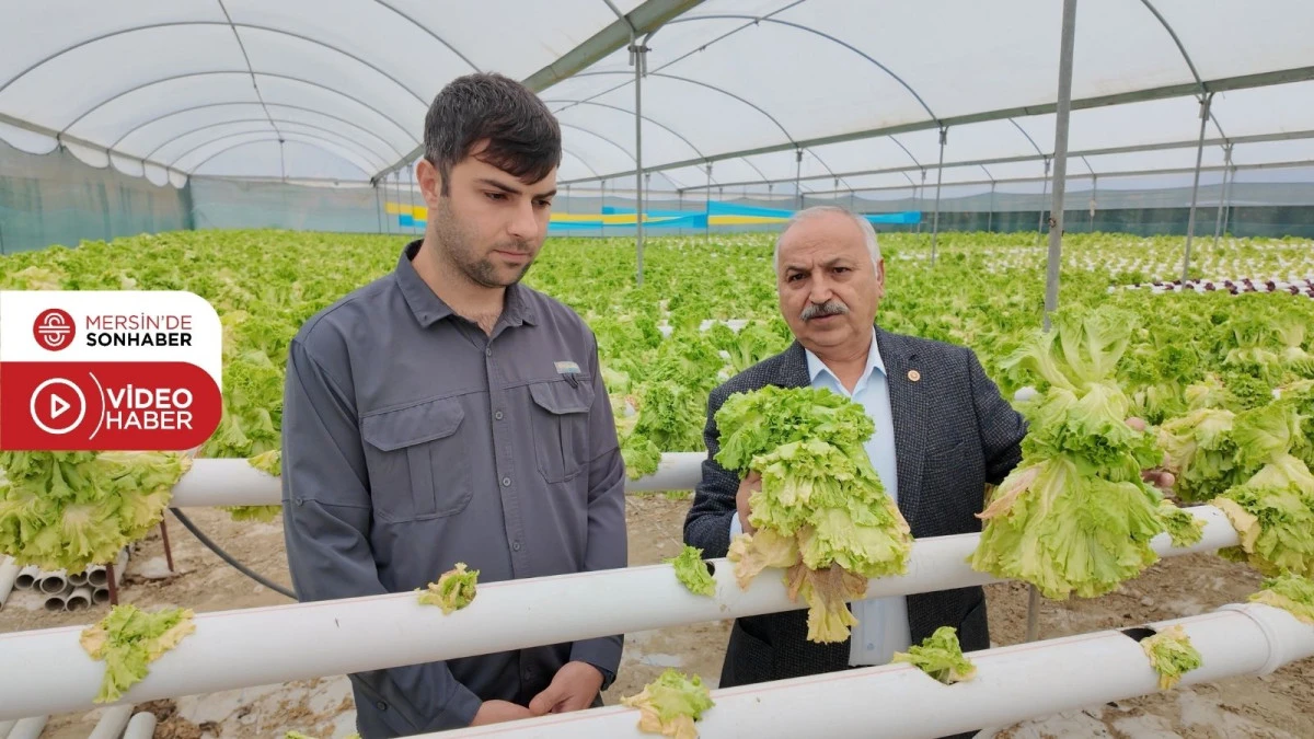 CHP’Lİ TALAT DİNÇER: ‘ÜRETİCİ MARULLARI 2 LİRAYA SATAMIYOR, TÜKETİCİ İSE 50 LİRAYA ERİŞEMİYOR’