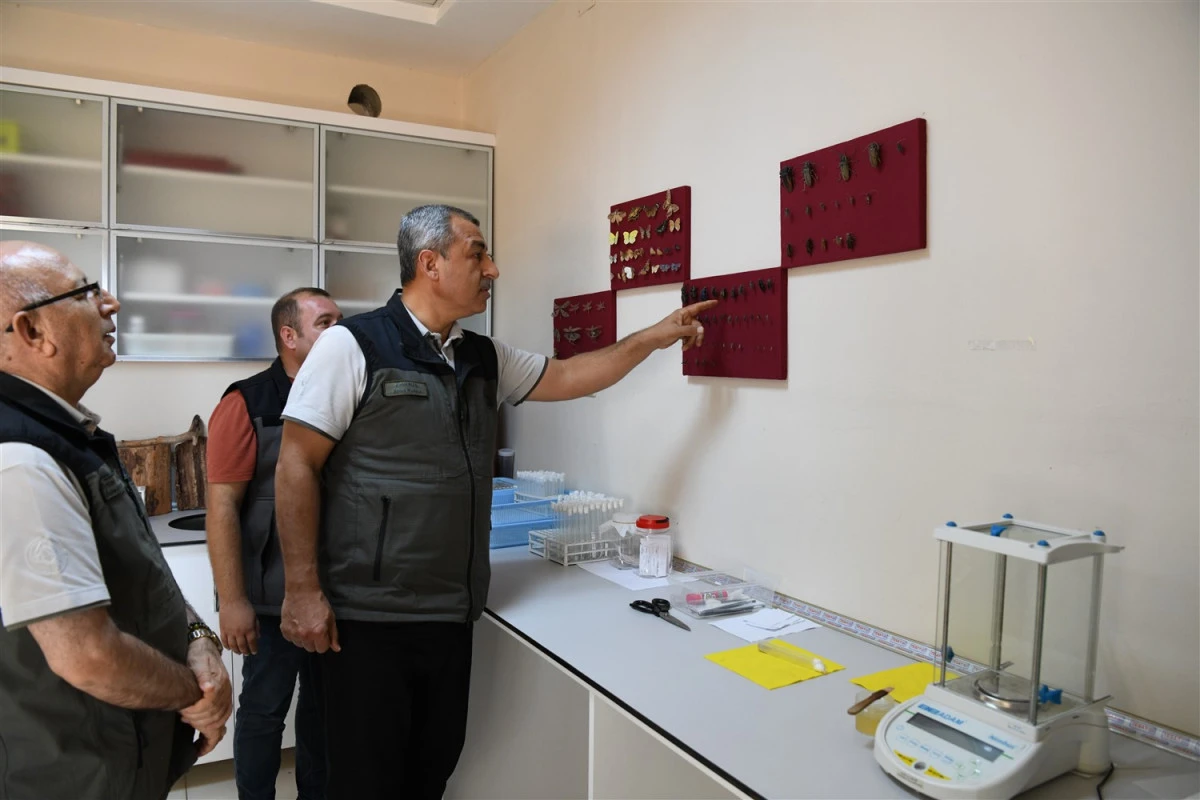 DAVULTEPE B&Ouml;CEK &Uuml;RETİM LABORATUVARINDA BİYOLOJİK M&Uuml;CADELE &Ccedil;ALIŞMALARI İNCELENDİ