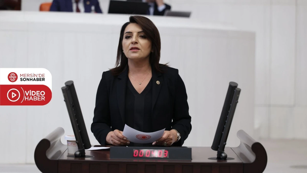 G&Uuml;LCAN KIŞ: &lsquo;AKP, MİLLETE TASARRUFU, B&Uuml;T&Ccedil;EYE FAİZİ REVA G&Ouml;RD&Uuml;&rsquo;