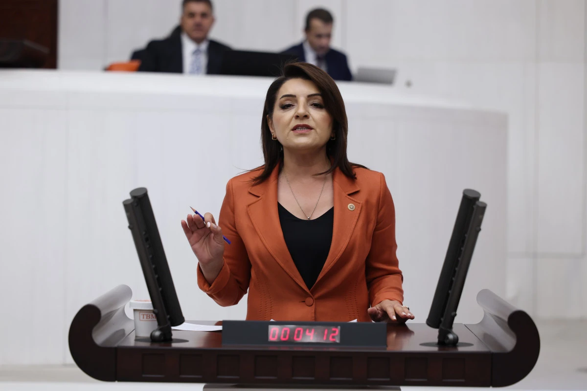 G&Uuml;LCAN KIŞ: &lsquo;HAZİNE HER 100 LİRALIK İ&Ccedil; BOR&Ccedil; İ&Ccedil;İN 103 LİRA FAİZ &Ouml;DEYECEK&rsquo;