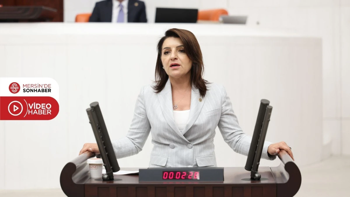 G&Uuml;LCAN KIŞ: &lsquo;SARAY&rsquo;DAN BELEDİYELERE MALİ İNFAZ!&rsquo;