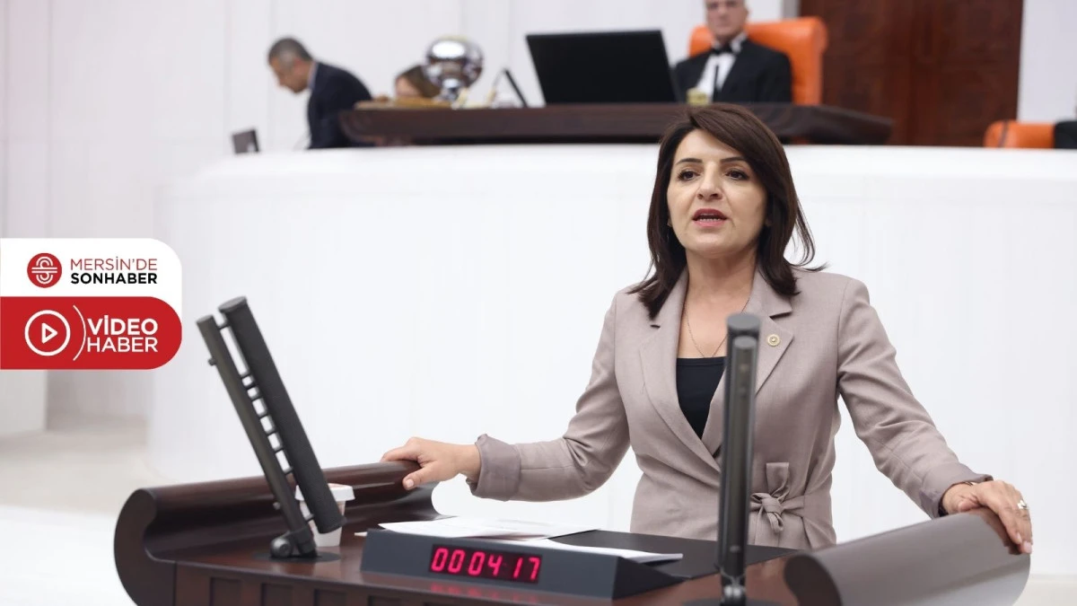 G&Uuml;LCAN KIŞ: &lsquo;TOKİ DAR GELİRLİNİN UMUDU DEĞİL, ULAŞAMADIĞI BİR KURUMA D&Ouml;N&Uuml;ŞT&Uuml;&rsquo;