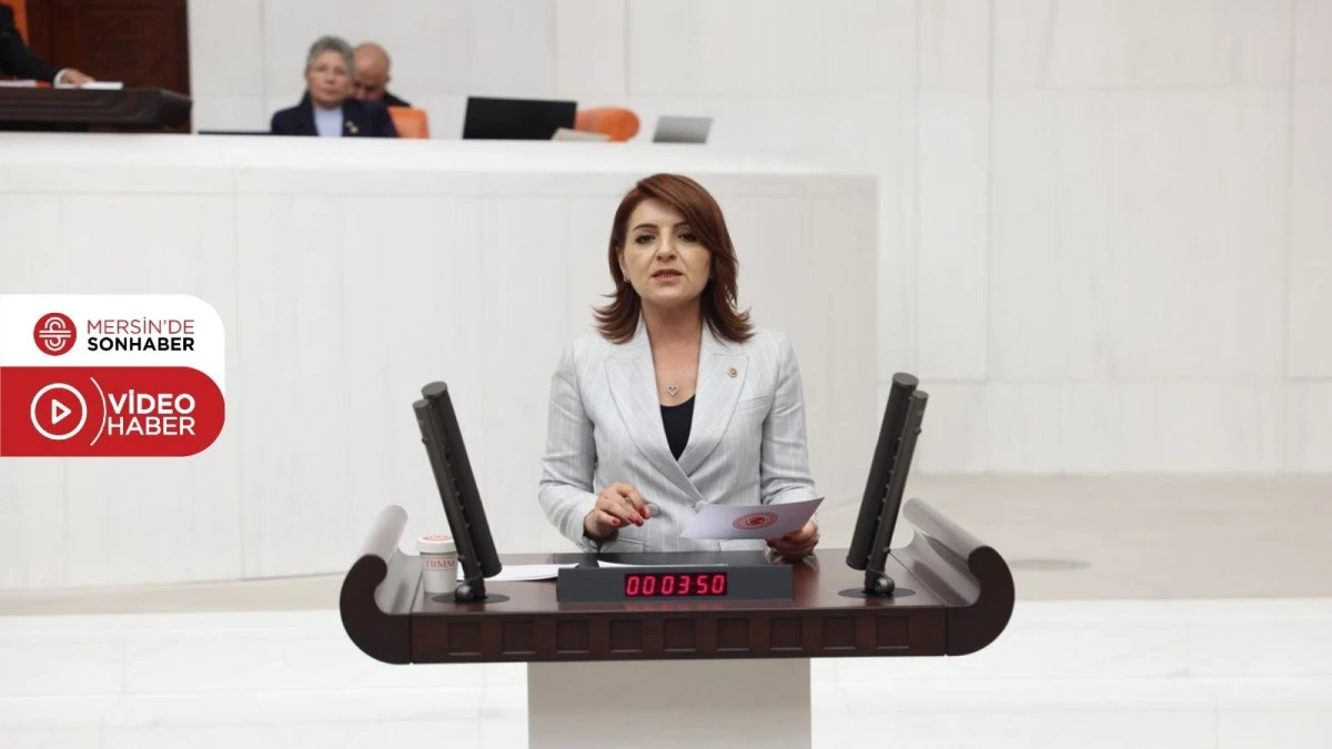 GÜLCAN KIŞ: ‘TORBA YASA İLE NE EKONOMİ DÜZELİR NE DE TÜRK LİRASI DEĞER KAZANIR!’
