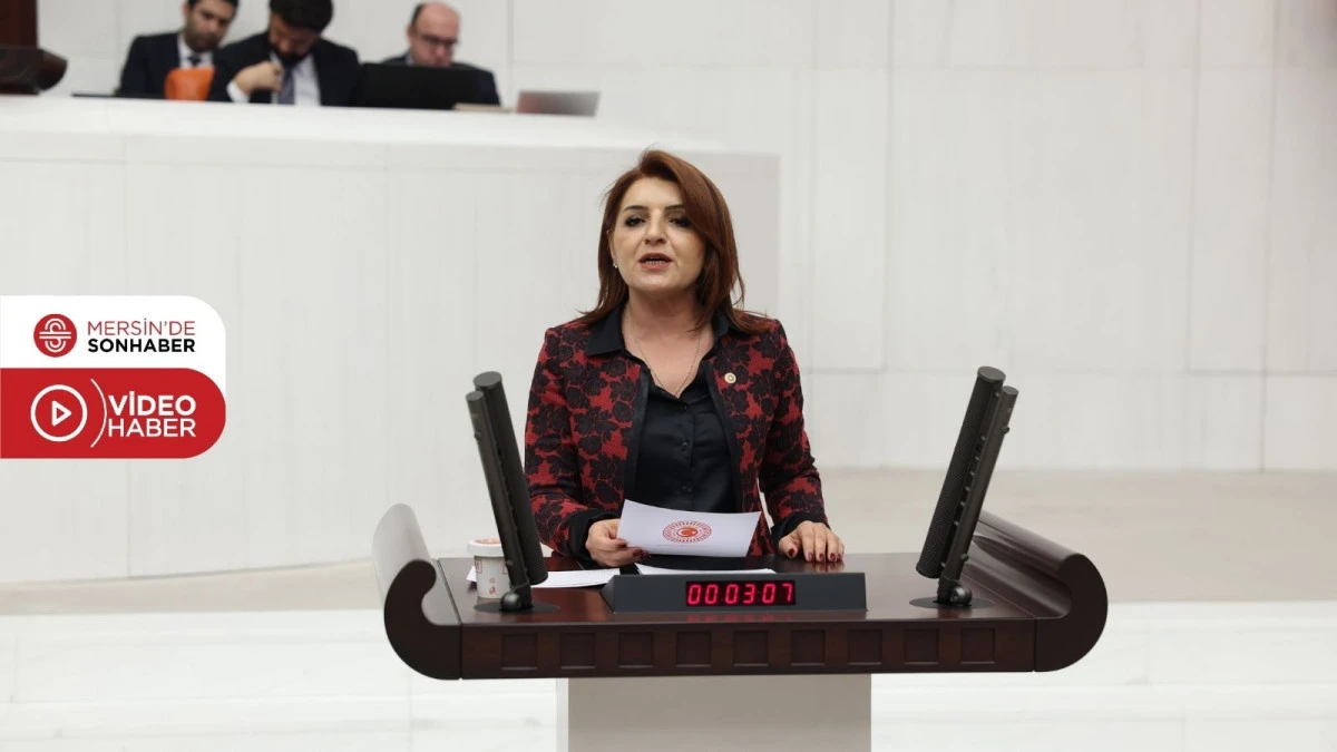 G&Uuml;LCAN KIŞ: &lsquo;TRAFİK CEZALARI G&Uuml;VENLİK İ&Ccedil;İN DEĞİL, TAHSİLAT İ&Ccedil;İN ARTIRILIYOR&rsquo;