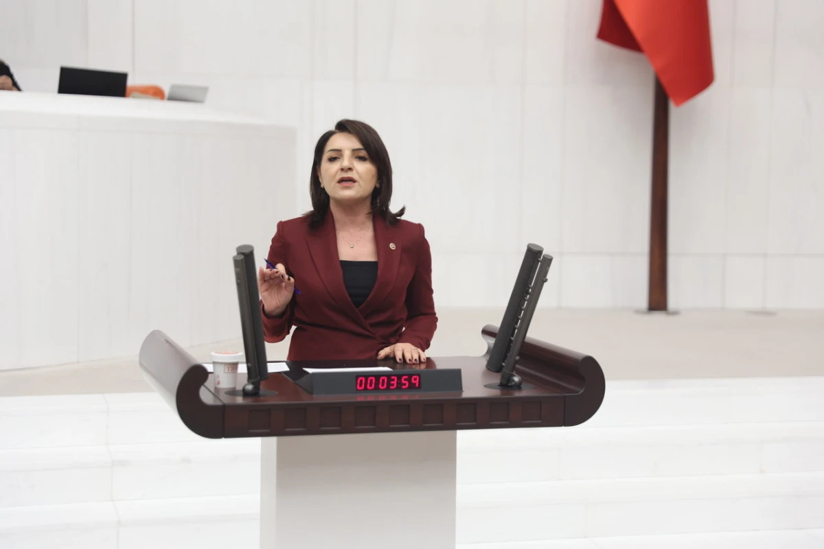 G&Uuml;LCAN KIŞ: &lsquo;T&Uuml;RKİYE&rsquo;DE GE&Ccedil;İMİN ADI: KREDİ KARTI&rsquo;