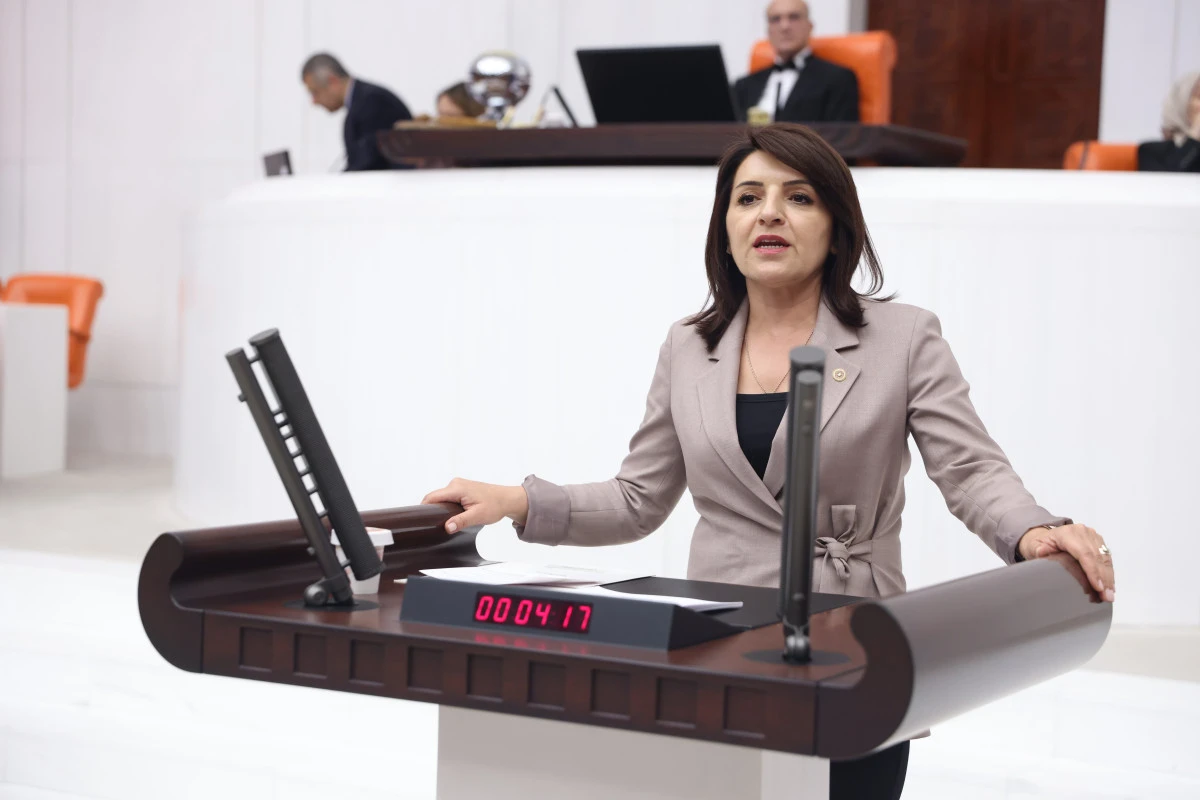 G&Uuml;LCAN KIŞ: &lsquo;T&Uuml;RKİYE'Yİ OECD'NİN ENFLASYON ŞAMPİYONU YAPTILAR,  İŞ&Ccedil;İNİN CEBİNDEN 890 MİLYAR LİRA &Ccedil;ALDILAR&rsquo;