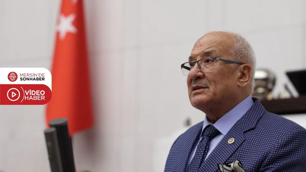 KOCAMAZ: ‘ZEYTİN AĞAÇLARI KESİLİYOR, KÖYLÜLER MAĞDUR EDİLİYOR’