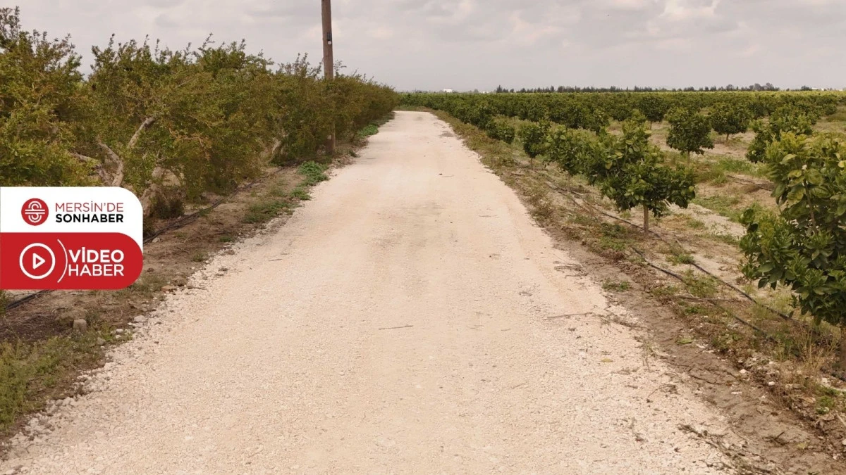 MANTAŞ MAHALLESİ&rsquo;NDE YAĞIŞTAN ETKİLENEN YOLLAR YENİDEN D&Uuml;ZENLENDİ