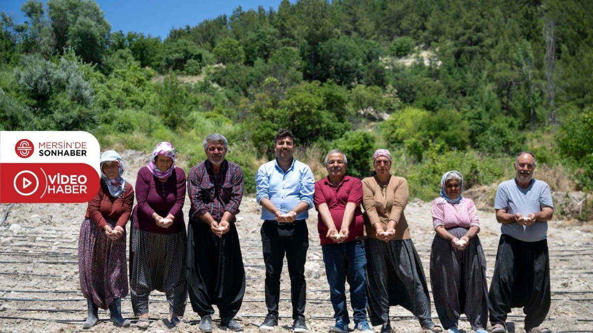MERSİN B&Uuml;Y&Uuml;KŞEHİR LEKLEK FASULYESİNİ CANLANDIRMAK İ&Ccedil;İN DESTEĞİNİ S&Uuml;RD&Uuml;R&Uuml;YOR 