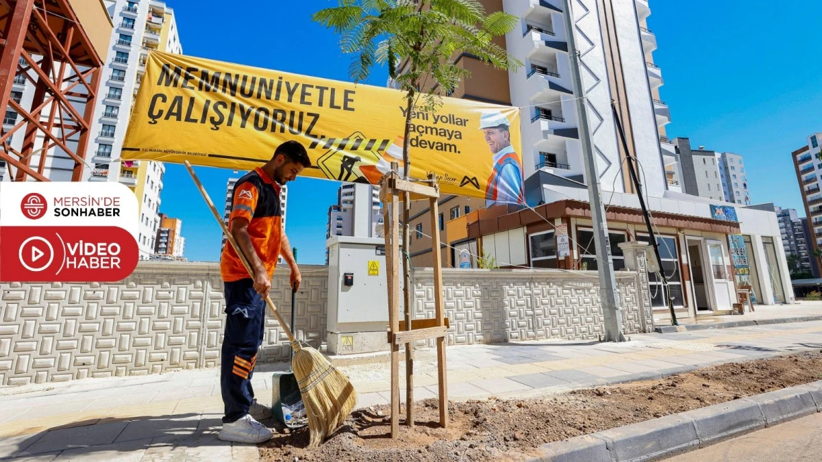 MERSİN B&Uuml;Y&Uuml;KŞEHİR, MEZİTLİ GAZİ PAŞA CADDESİ&rsquo;NDE 420 AĞACI TOPRAKLA BULUŞTURDU