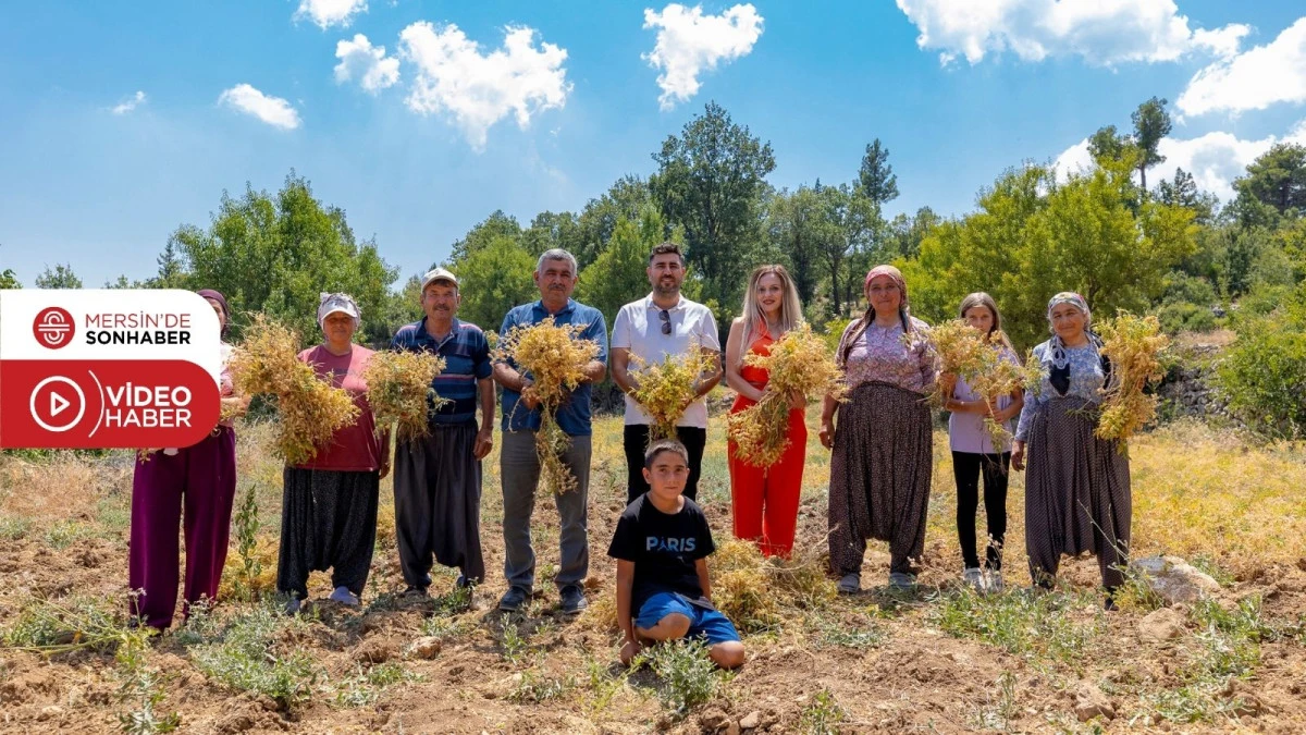 MERSİN B&Uuml;Y&Uuml;KŞEHİR YEREL TOHUMLARI GELECEĞE TAŞIYOR