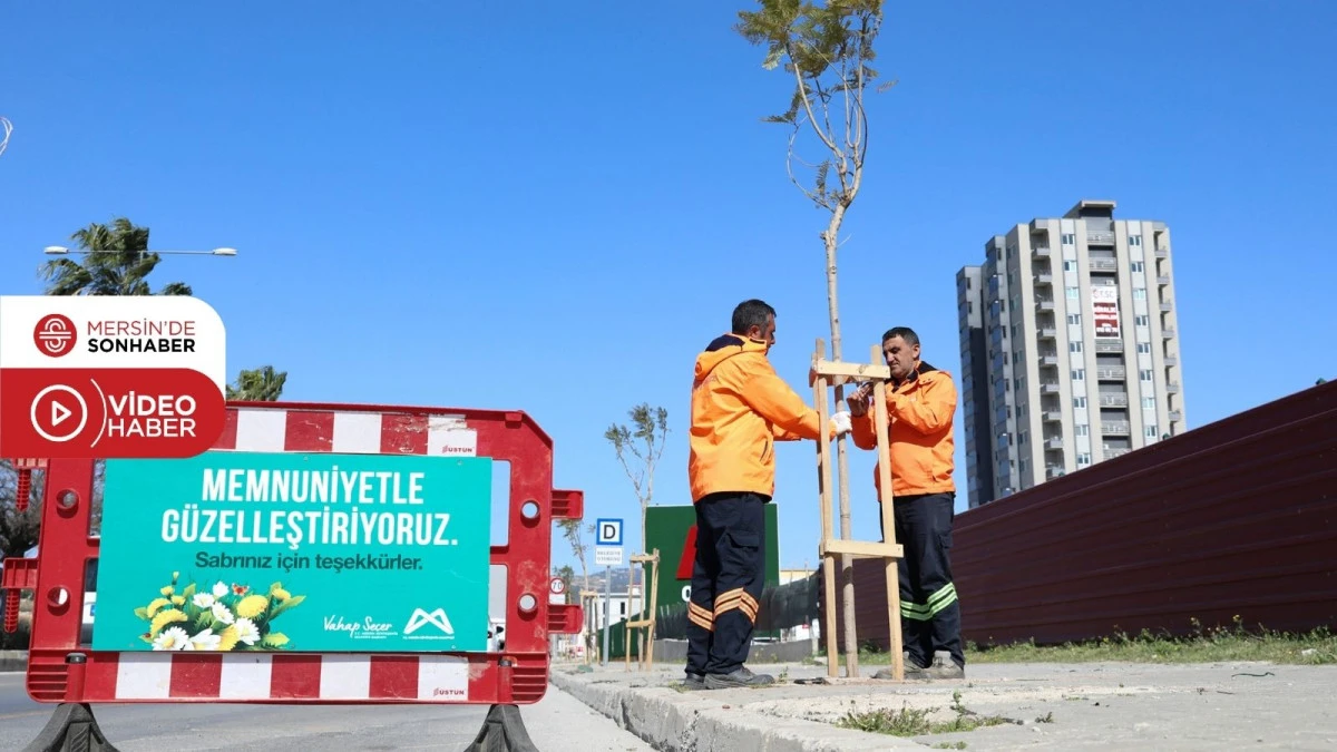 MERSİN B&Uuml;Y&Uuml;KŞEHİR&rsquo;DEN &lsquo;AĞA&Ccedil;LANDIRMA KAMPANYASI&rsquo;