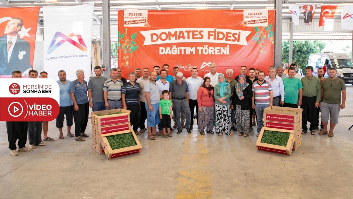 MERSİN B&Uuml;Y&Uuml;KŞEHİR&rsquo;DEN ERDEMLİLİ &Uuml;RETİCİLERE DOMATES FİDESİ DESTEĞİ 