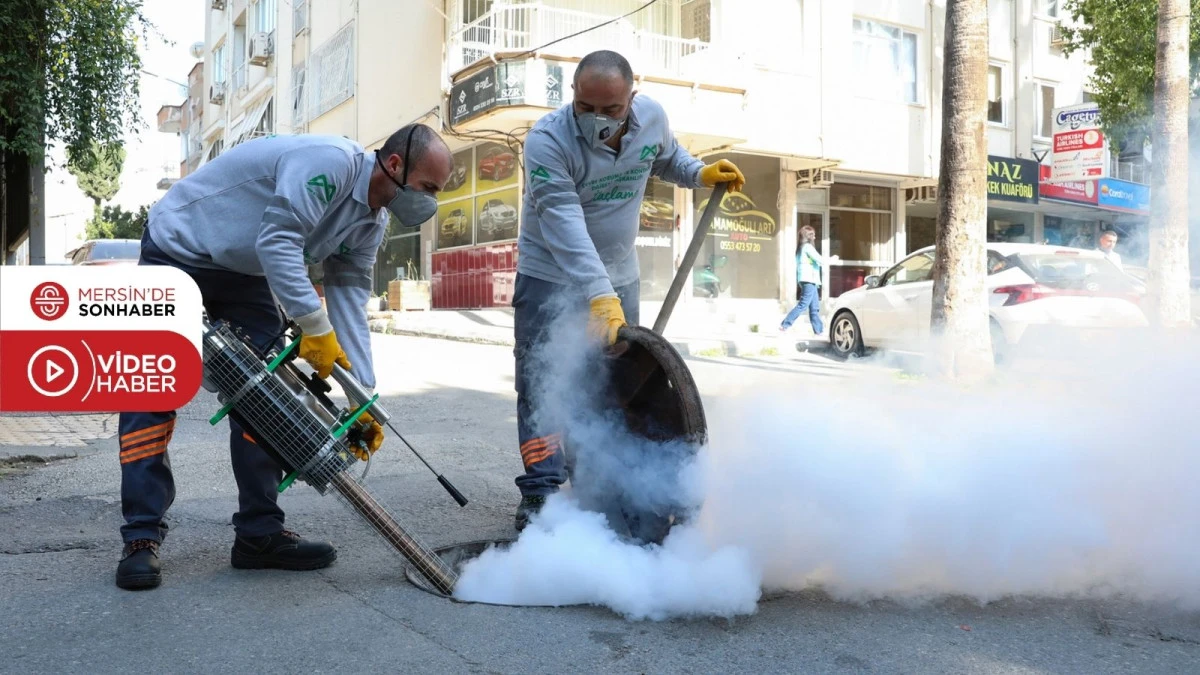 MERSİN B&Uuml;Y&Uuml;KŞEHİR&rsquo;İN İLA&Ccedil;LAMA EKİPLERİ KENT GENELİNDE HAŞERE M&Uuml;CADELESİNİ S&Uuml;RD&Uuml;R&Uuml;YOR 