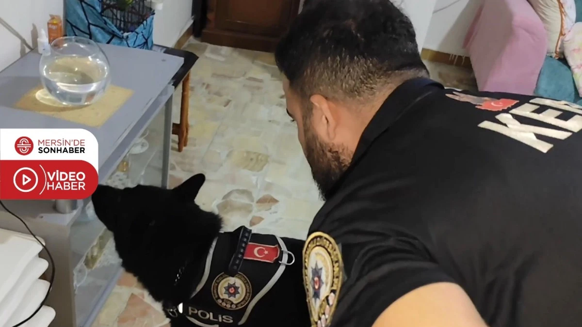 MERSİN MERKEZLİ ‘NARKO KAPAN’ OPERASYONU: 10 İLDE 370 GÖZALTI, 3 SUÇ ÖRGÜTÜ ÇÖKERTİLDİ