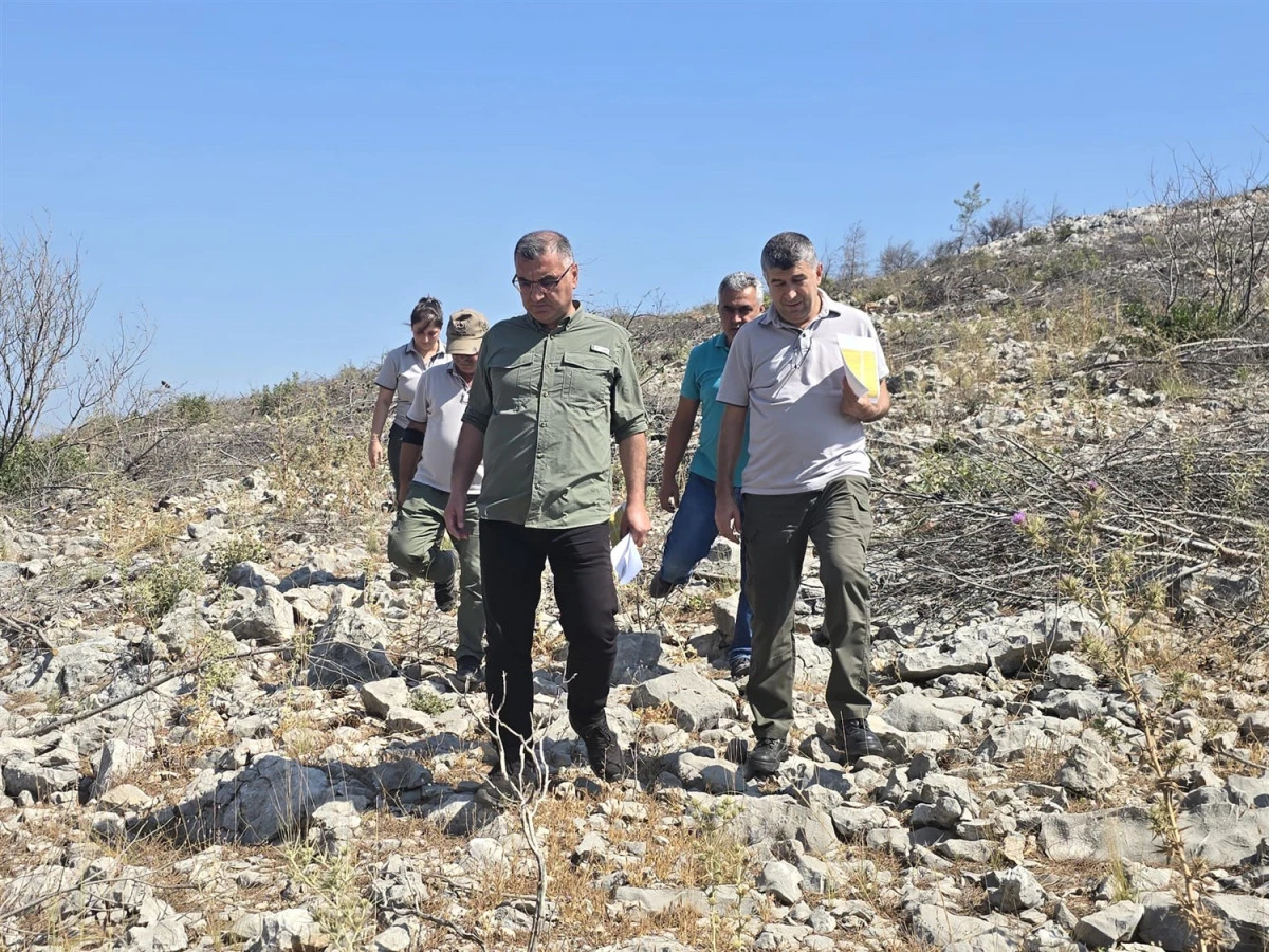 MERSİN&rsquo;DE YANGINDAN ZARAR G&Ouml;REN ORMANLIK ALANLARDA REHABİLİTASYON &Ccedil;ALIŞMALARI İNCELENDİ