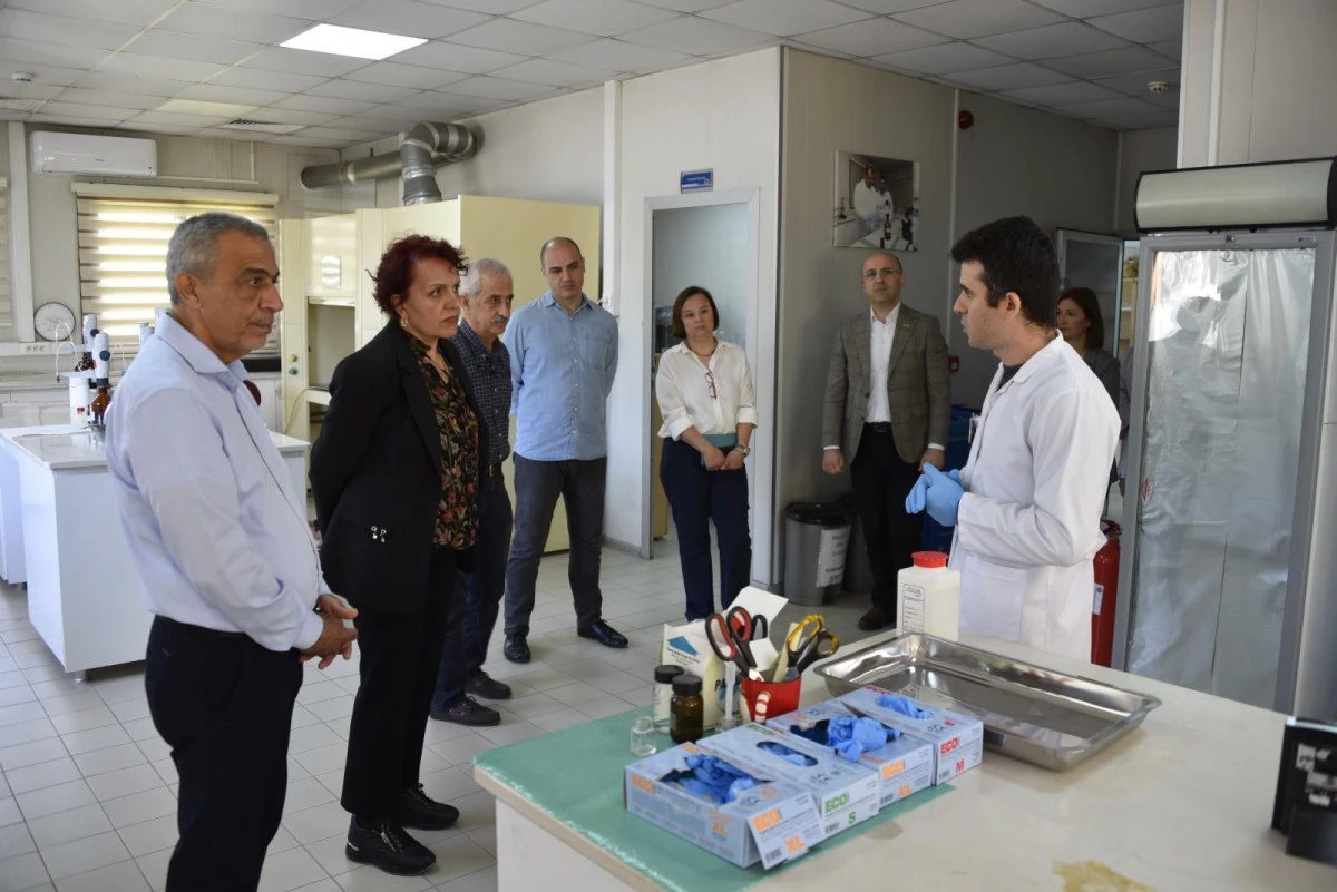 MESKİ MERKEZ SU ANALİZ LABORATUVARI T&Uuml;RKAK AKREDİTASYON YENİLEME DENETİMİNİ BAŞARIYLA TAMAMLADI
