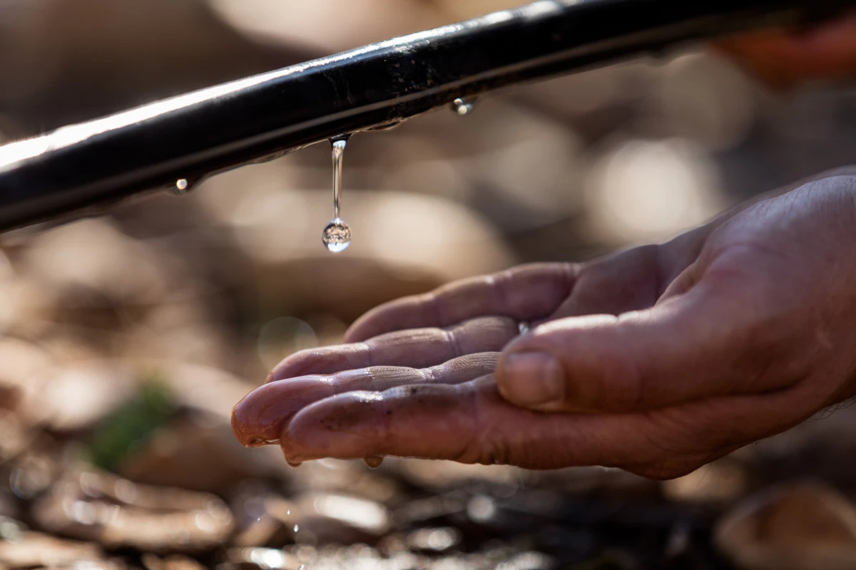 NETAFIM T&Uuml;RKİYE, 2026&ndash;2035 ULUSAL SU PLANI&rsquo;YLA UYUMLU &lsquo;SU VERİMLİLİĞİ&rsquo; ODAKLI STRATEJİK &Ccedil;ALIŞMA PLANINI HAYATA GE&Ccedil;İRİYOR