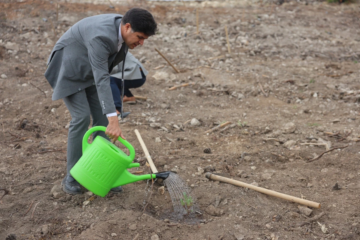 ‘ŞAHİDİMİZ TOPRAK, İMZAMIZ FİDAN, SEVDAMIZ YEŞİL VATAN’ TEMASIYLA MERSİN’DE FİDANLAR TOPRAKLA BULUŞTU