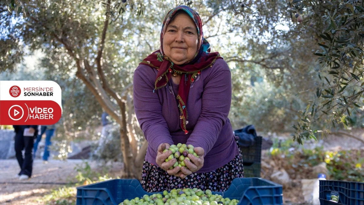 TARLADA İZİ OLAN KADINLARIN BÜYÜKŞEHİR İLE YÜZÜ GÜLÜYOR 