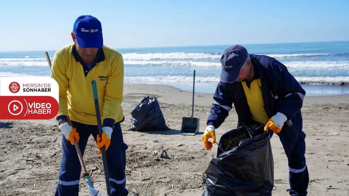 TARSUS BELEDİYESİ DENİZ KAPLUMBAĞALARI İ&Ccedil;İN SAHADA