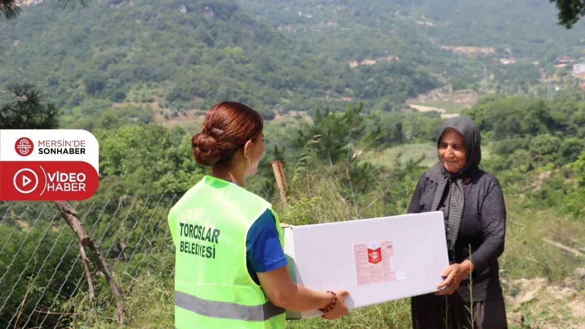 TOROSLAR BELEDİYESİ AKDENİZ MEYVE SİNEĞİNE KARŞI M&Uuml;CADELESİNİ S&Uuml;RD&Uuml;R&Uuml;YOR